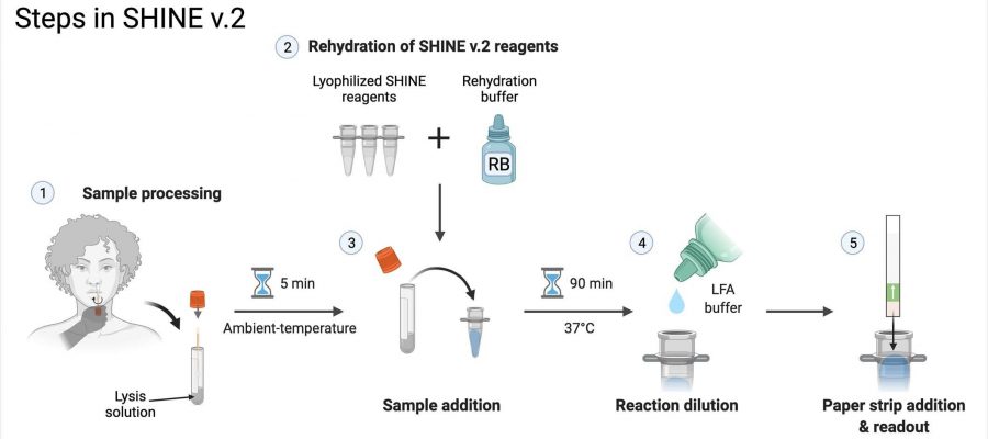 A Fast, Accurate, Equipment-free Diagnostic Test For SARS-CoV-2 And Its ...