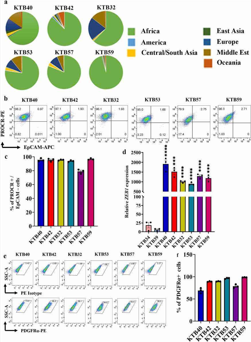 Researchers Identify Biology Behind Aggressive Breast Cancers In Black ...